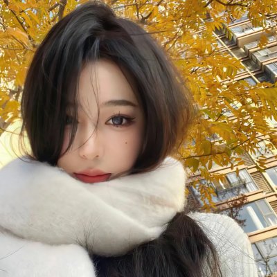 金龟车大闹蒙特卡罗